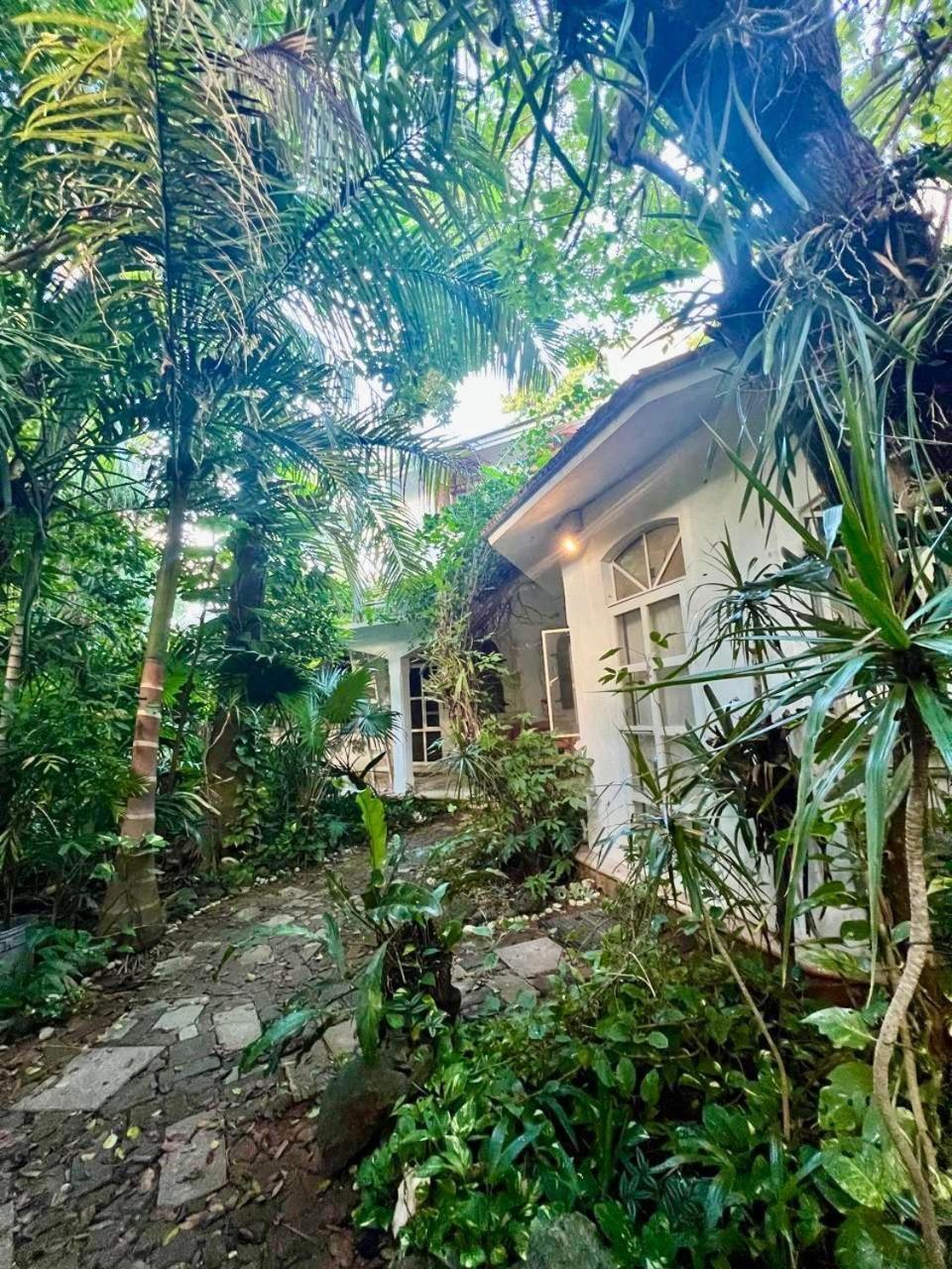 Casa Del Arquitecto Leilighet Cancún Eksteriør bilde